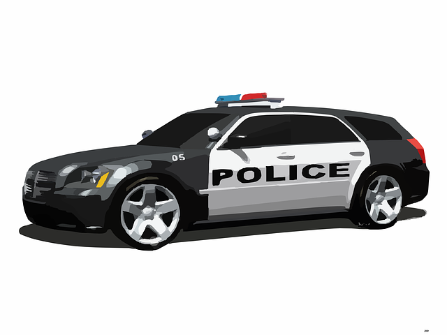 policie
